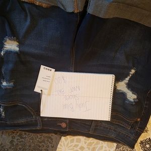 Judy Blue Distressed Shorts